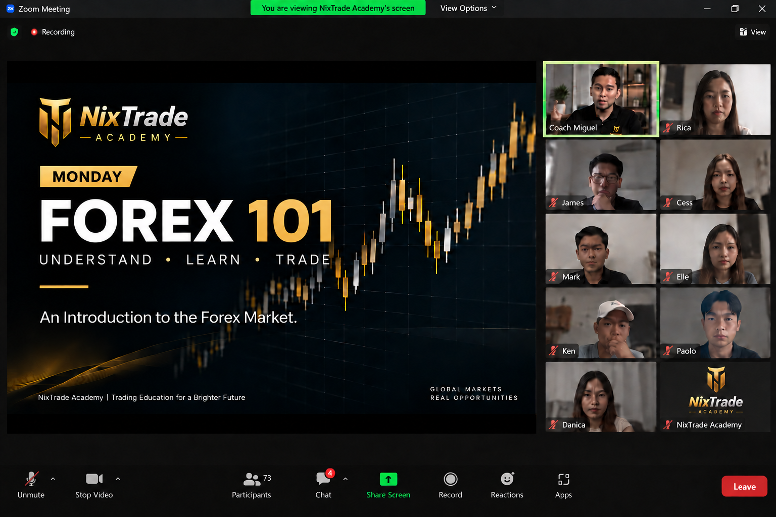 forex 101 webinar sample